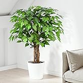 Keeplush 3ft Ficus Artificial Trees with Natural Curved Trunks, 36" Tall Lush Faux Tree for Home Decor Indoor, Green Lifelike