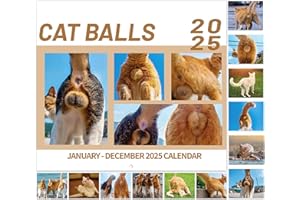 SIMANNIE 2025 Calendar - 2025 Wall Calendar, Jan.2025 - Dec.2025, 16.9" x 11" (Open), Wall Calendar 2025 with Unruled Blocks, Perfect Thick Paper - Cutie Cat