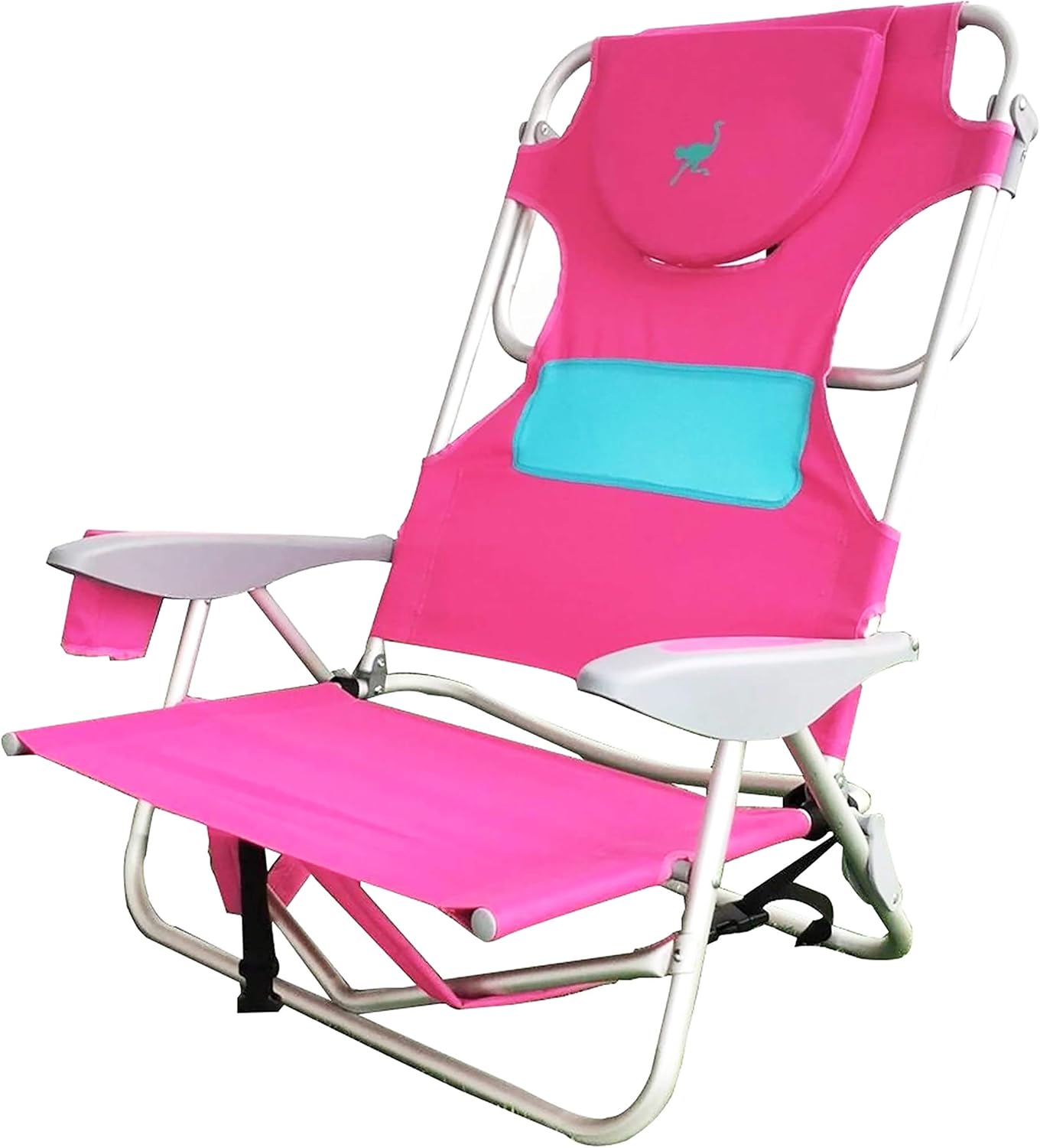 Best beach chairs ostrich on your back