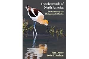 The Shorebirds of North America: A Natural History and Photographic Celebration