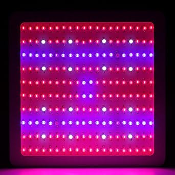 Atopsun Super Bright 2000 Watt Led Grow Light Full Spectrum 200 X 10 Double Chip Care For Lamp For The Culture Hydroponic Indoor Plants Amazon De Beleuchtung