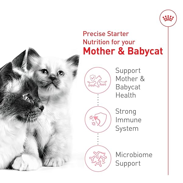 ROYAL CANIN FELINE HEALTH NUTRITION MOTHER & BABYCAT QUEEN DRY CAT FOOD, 6 LB BAG