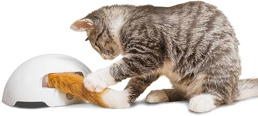foxtail cat toy