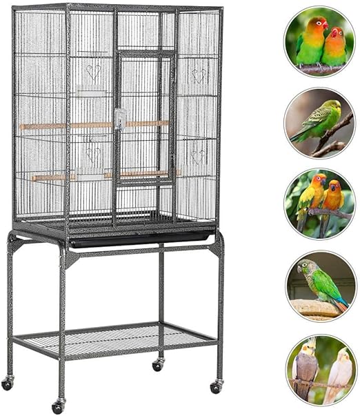 small cockatiel cage