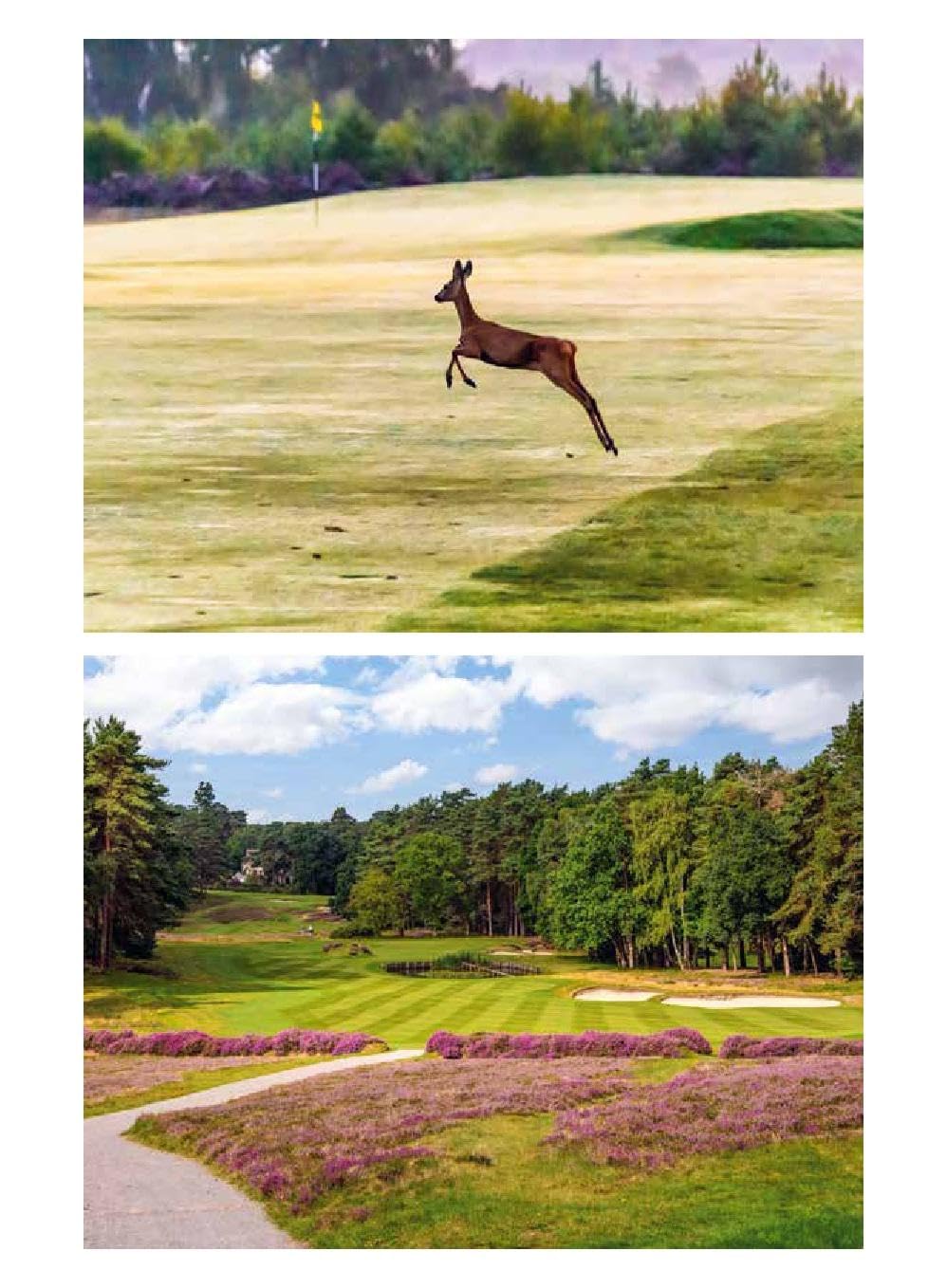 150 Golfplätze, die man gespielt haben muss - Golf Geschenkbuch: Unverzichtbarer Reiseführer und Geschenkband für alle Golfsport-Enthusiasten