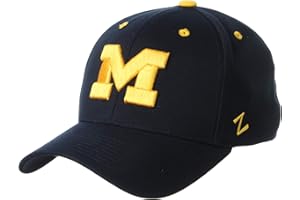 ZHATS NCAA Mens Stretch Fitted Hat Team Color