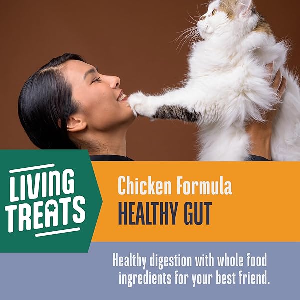 WHOLE LIFE CAT LIVING TREATS FOR CATS – HUMAN GRADE PROBIOTICS FOR GUT HEALTH & SENSITIVE STOMACHS, NATURAL DIGESTIVE SUPPORT, HEALTHY SNACKS – CHICKEN & YOGURT, 1.5 OZ (PACK OF 1)