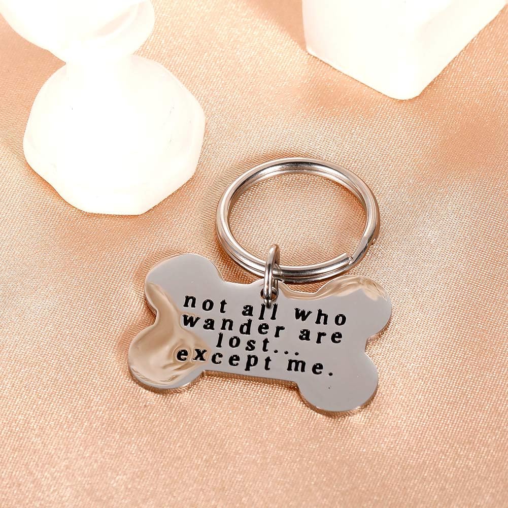Funny Pet ID Tags for Dogs Collar for Kitten New Puppy Stainless Steel Not All Who Wander are Lost Except Me Cat Charm Christmas Gift Identification Charm : Pet Supplies