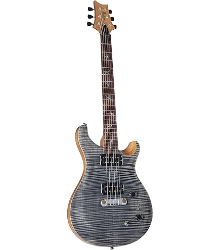 Amazon.com: PRS Paul Reed Smith 6 String SE Custom 24-08