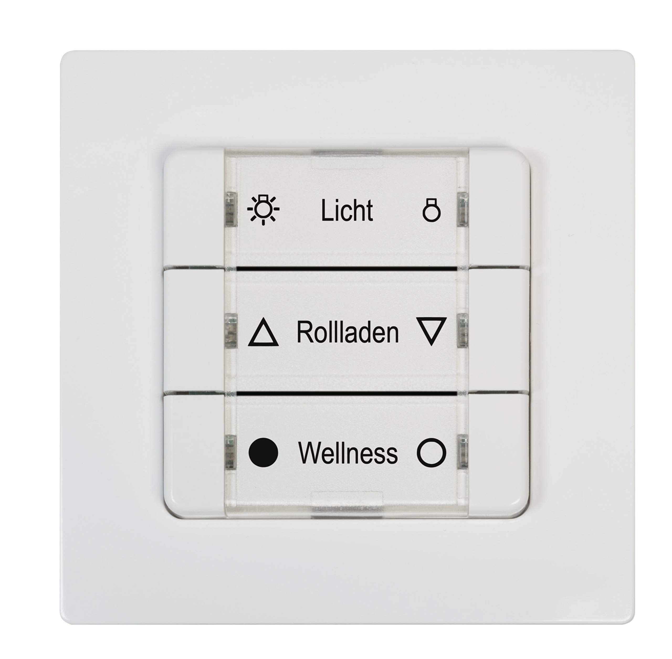 DuoFern BAT 9494-1 Multi-Wall Button Wireless and Radio-Capable Multiwall Button for DuoFern Receiver