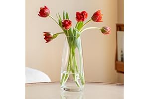 FANTESTICRYAN Ins Modern Glass Vase Irised Crystal Clear Glass Vase for Home Office Decor (Crystal Clear)