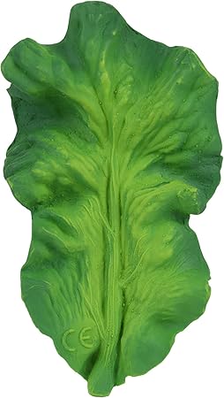 oli and carol teether