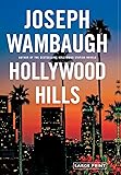 Hollywood Hills: A Novel