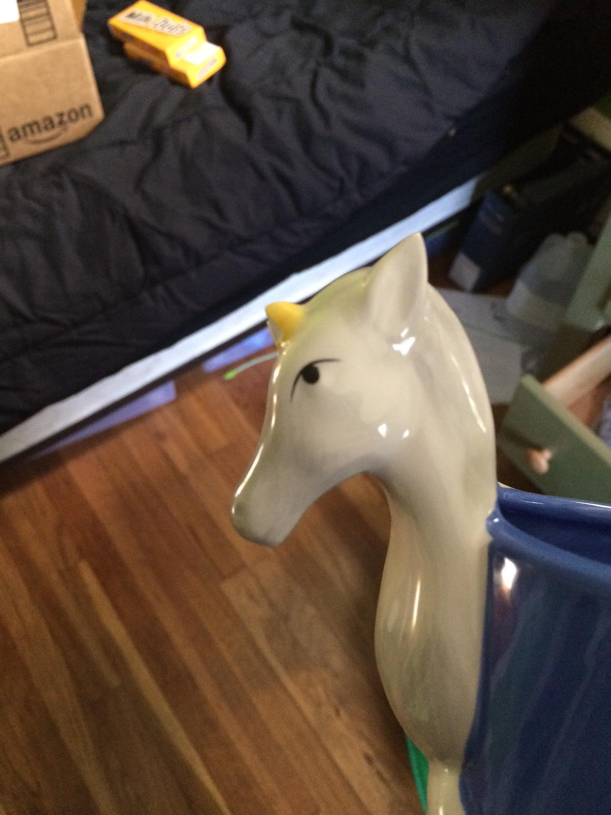 User review photo