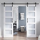 ROYMELO Double 24×84 Inch Glass Barn Door Slab and