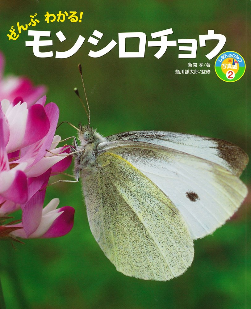 ぜんぶわかる モンシロチョウ しぜんのひみつ写真館 新開 孝 謙太郎 蟻川 本 通販 Amazon