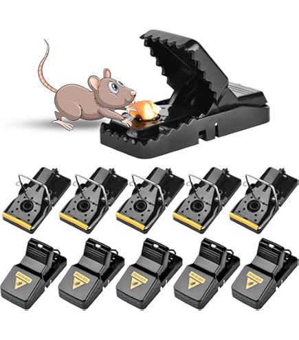 HOMEREVEL Lot De 4 Pièges à Souris Réutilisables Pour L'intérieur Et L