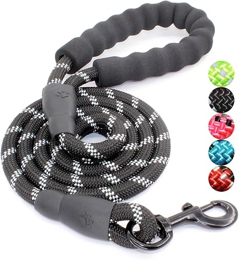 BAAPET 5 FT Strong Dog Leash 