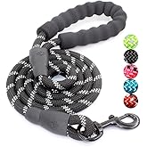BAAPET 2/4/5/6 FT Dog Leash with Comfortable Padded Handle and Highly Reflective Threads for Small Medium and Large Dogs (5FT-1/2'', Black)