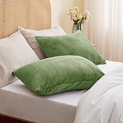 BEDELITE Flannel Pillow Cases Queen Size Set of