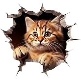 3D Break Through Wall Cat Sticker 5.5 Inch 2-Pack, Vinyl Car Stickers, Car Decals, Bumper Stickers and Decals for Vehicles, Waterproof Decorative Stickers for Cars & Laptops
