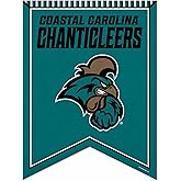 Rico Industries NCAA 18" X 24" Rafter Felt Pennant