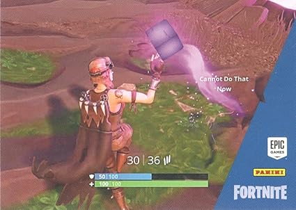 19 Fortnite Trading Cards Series 1 15 Base 15 C At Amazon S Sports Collectibles Store