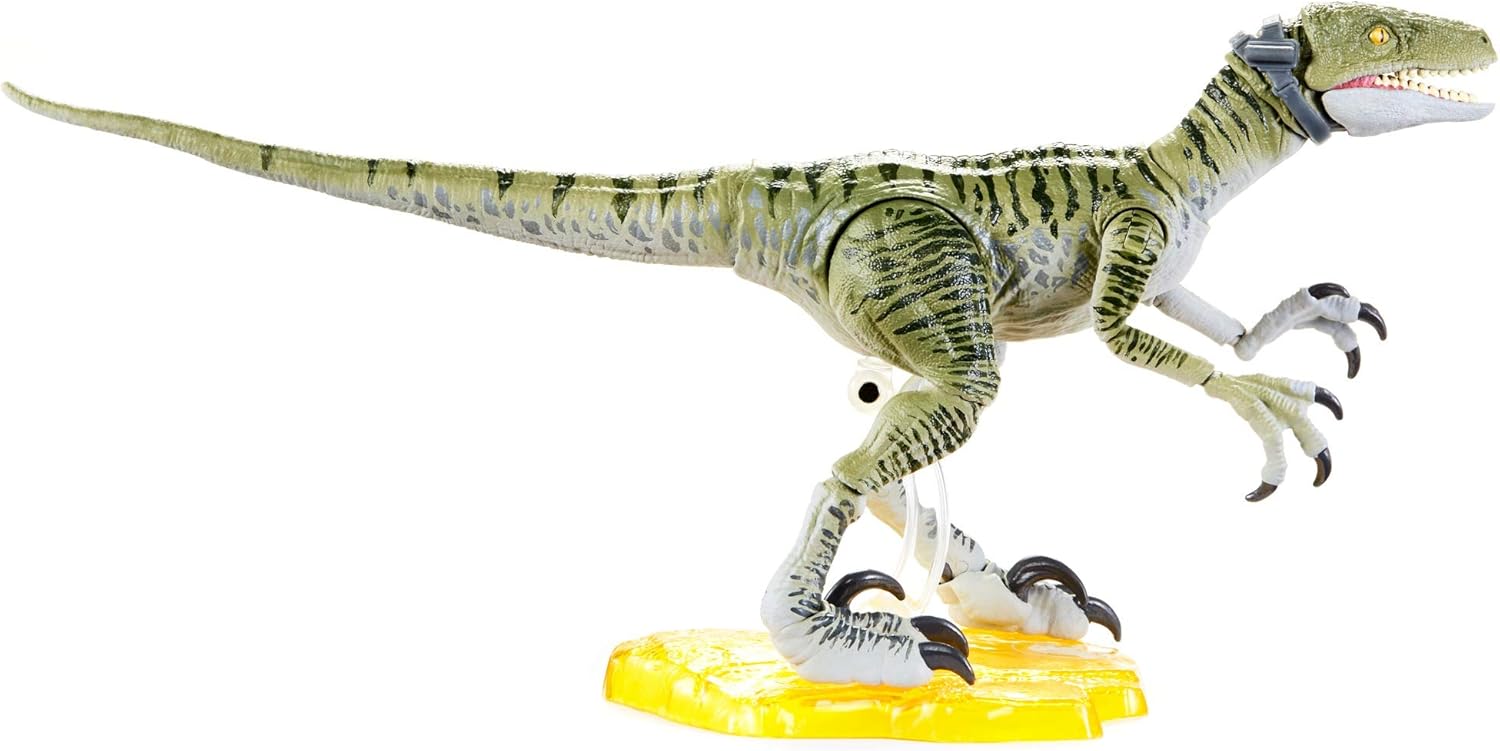 amber collection velociraptor charlie