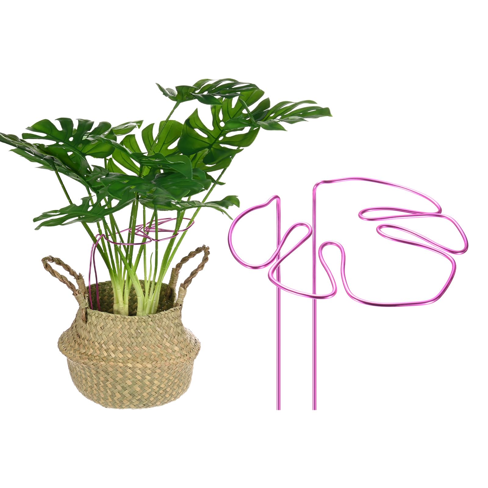 M METERXITY 1-Pack Monstera Plant Support, 11x5.9 Inch Reusable Sturdy Alloy Plant Support Stakes Unique Design for Potted Plants Flowers/Vegetables/Indoor Outdoor Climbing Plants [Pink]