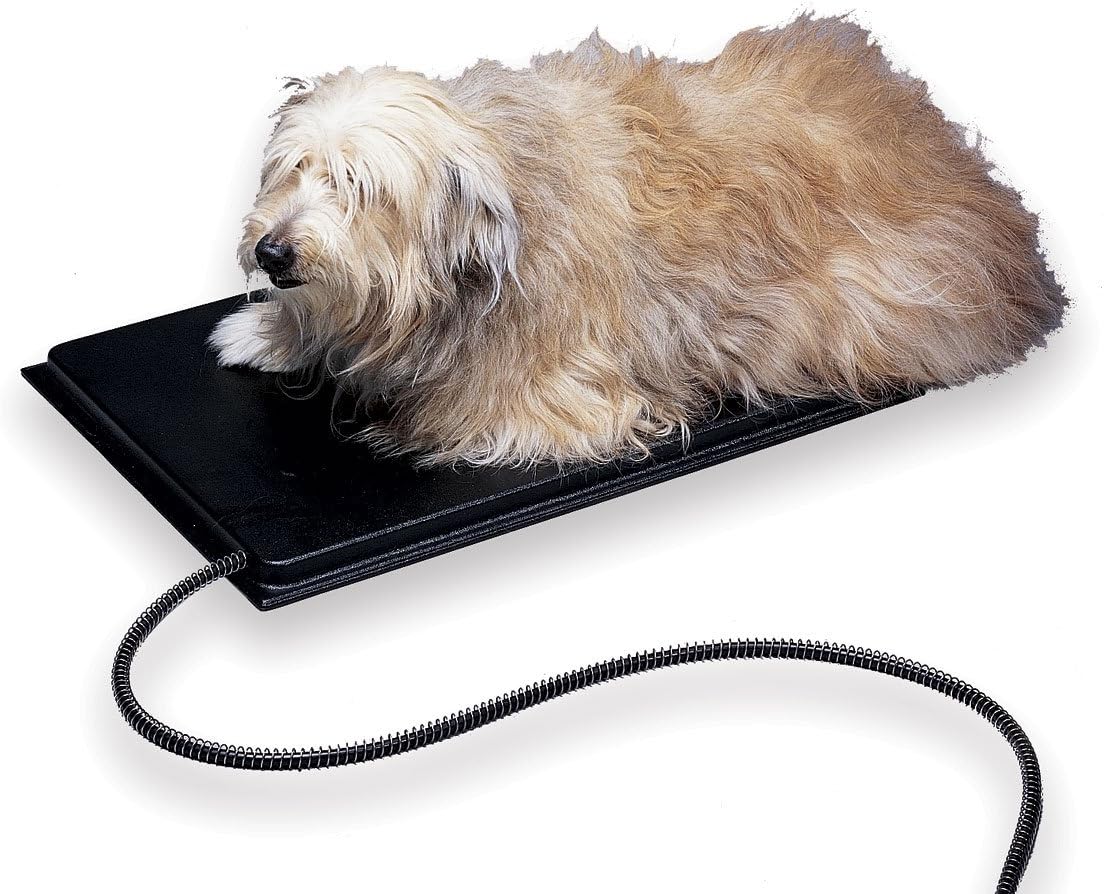 necklace to hold ashes of dogs