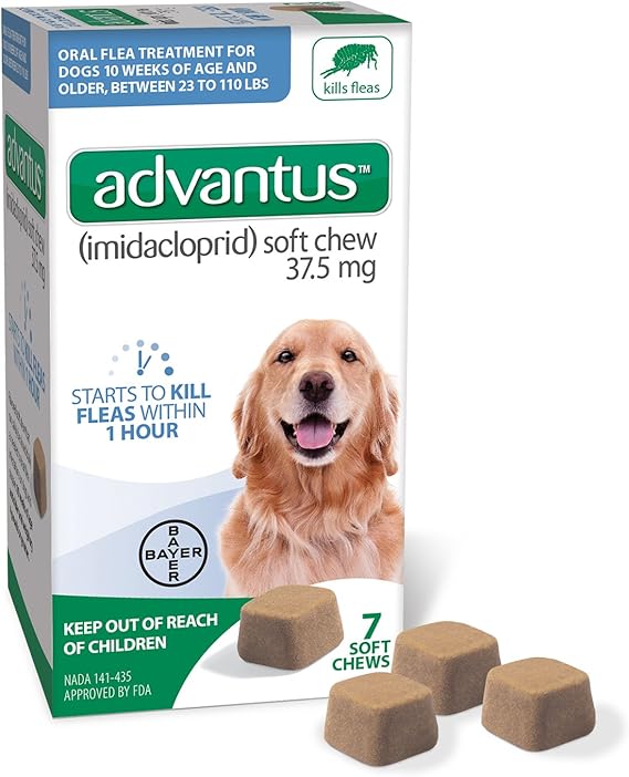 exo terra solar glo all in one reptile lamp