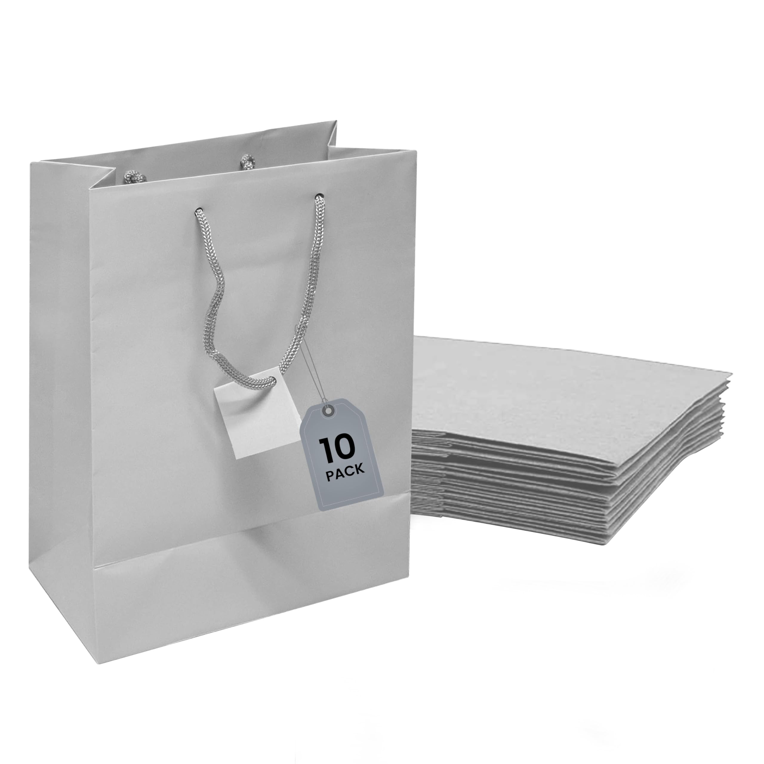 Novel Box Company, Ltd. Matte Laminated Euro Tote Paper Gift Bag Bundle