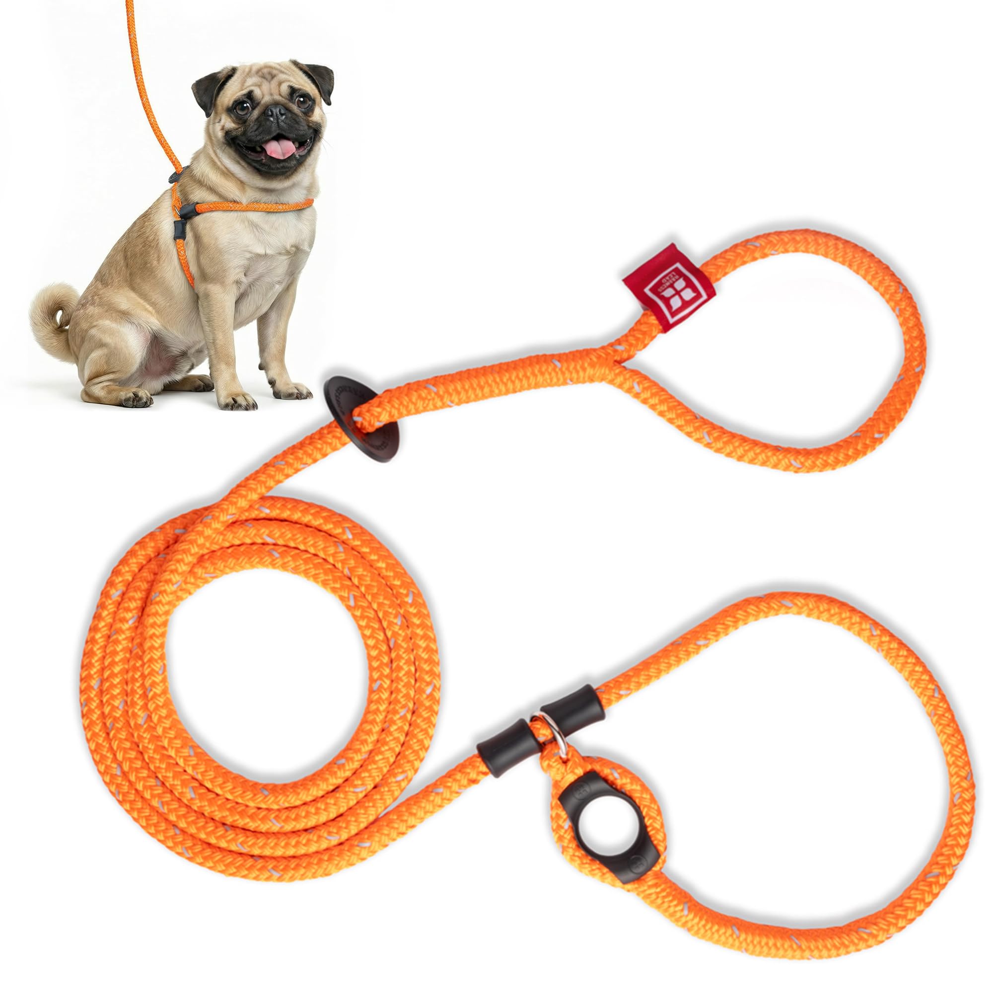 Harness Lead Leash, Small/Medium, Orange
