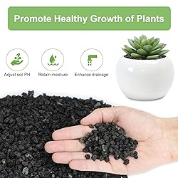 Pulovin 2.5lbs Lava Rocks for Plants, 1/5 Inch