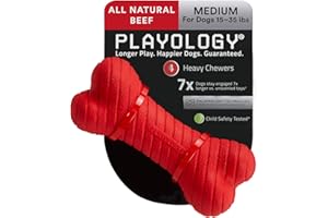 Playology Dual Layer Bone Dog Toy, for Medium Dog Breeds (15-35lbs) - for Heavy Chewers - Engaging All-Natural Beef Scented Toy - Non-Toxic Materials