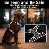 HEELE No-Pull Dog Harness Floral Black XS Release Neck Front Back Clips view 5