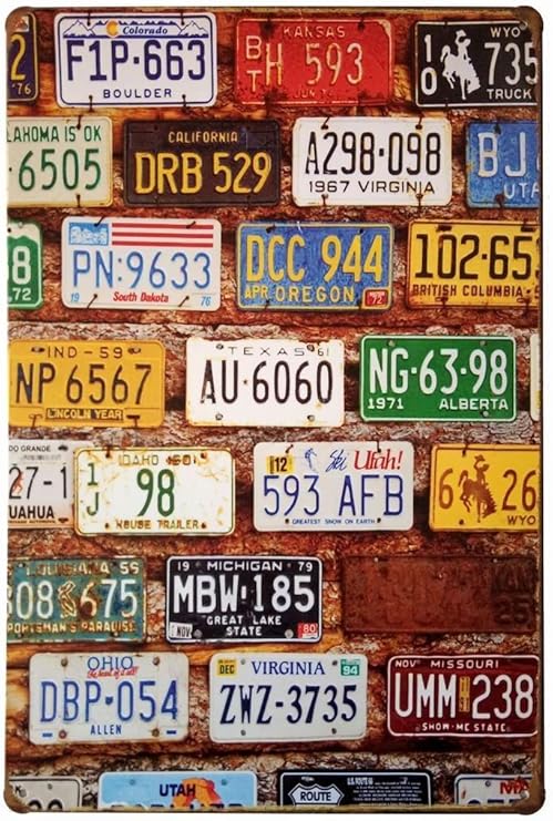 Amazon Com Erlood License Plate Vintage Home Decor Wall Tin Sign