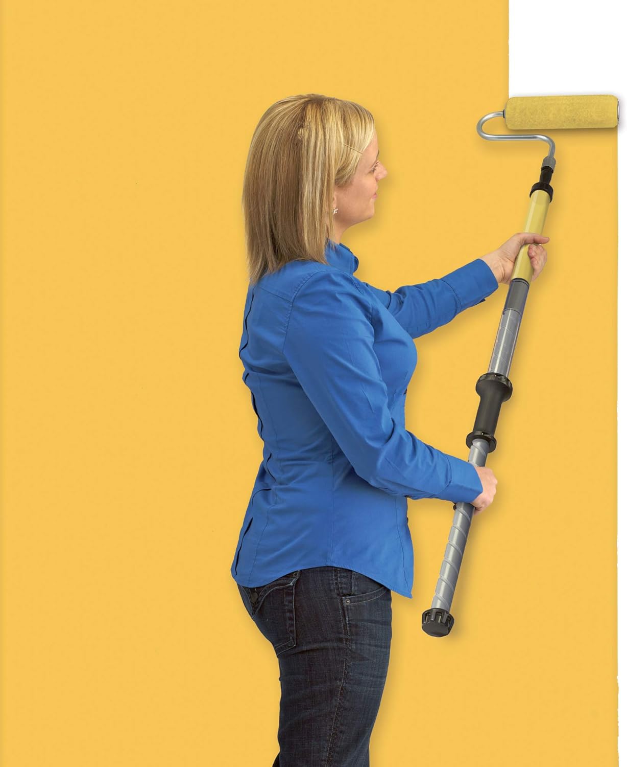 Wagner Spraytech HomeRight PaintStick EZ-Twist C800952.M Roller Applicator, Interior, Home Tool for Painting Walls and Ceilings, BLACK, SILVER, BLUE: Home Improvement