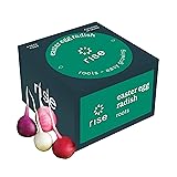 Rise Gardens Easter Egg Radish Pod Kit, Vegetable