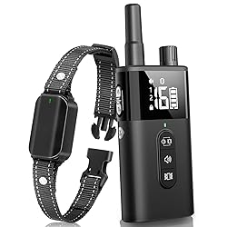 No Shock Dog Training Collar with Remote, Dog