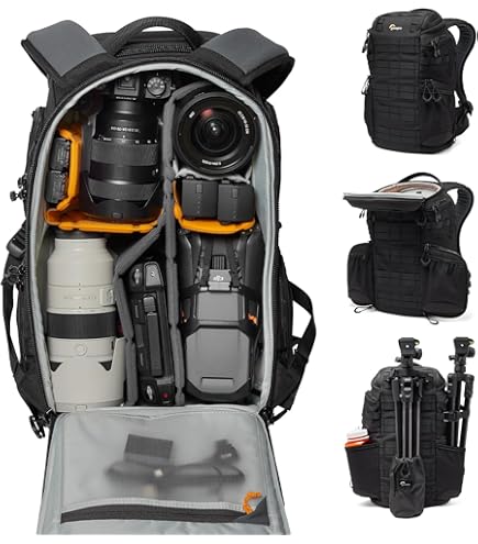 Amazon.com : Lowepro Pro Trekker BP 450 AW II,Outdoor Camera Bag