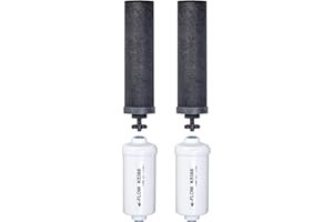 Set of 2 Berkey Authentic Black Berkey Elements (BB9-2) and 2 PF-2 Fluoride Reduction Elements - Combo Pack