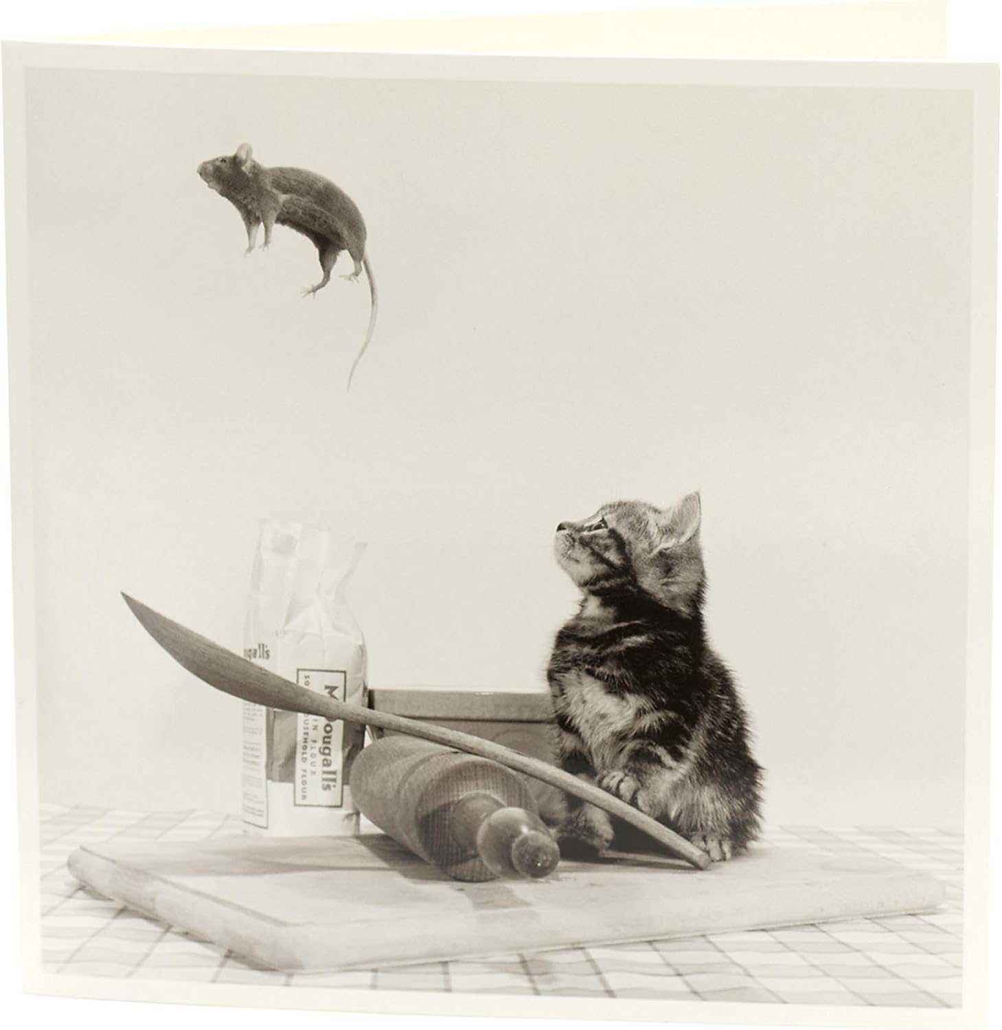 Funny Card, Card for Birthday or Any Occasion, Blank Inside, Cat and Mouse Birthday Card, Kitten Greeting Card - Image 4