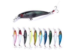 LURESMEOW Jerk Baits for Bass Fishing, Jerkbait Fishing Lures, Minnow Lures Jerk Bait for Freshwater/Saltwater Fishing Lures for Trout Pike, 5pcs/10pcs with Box