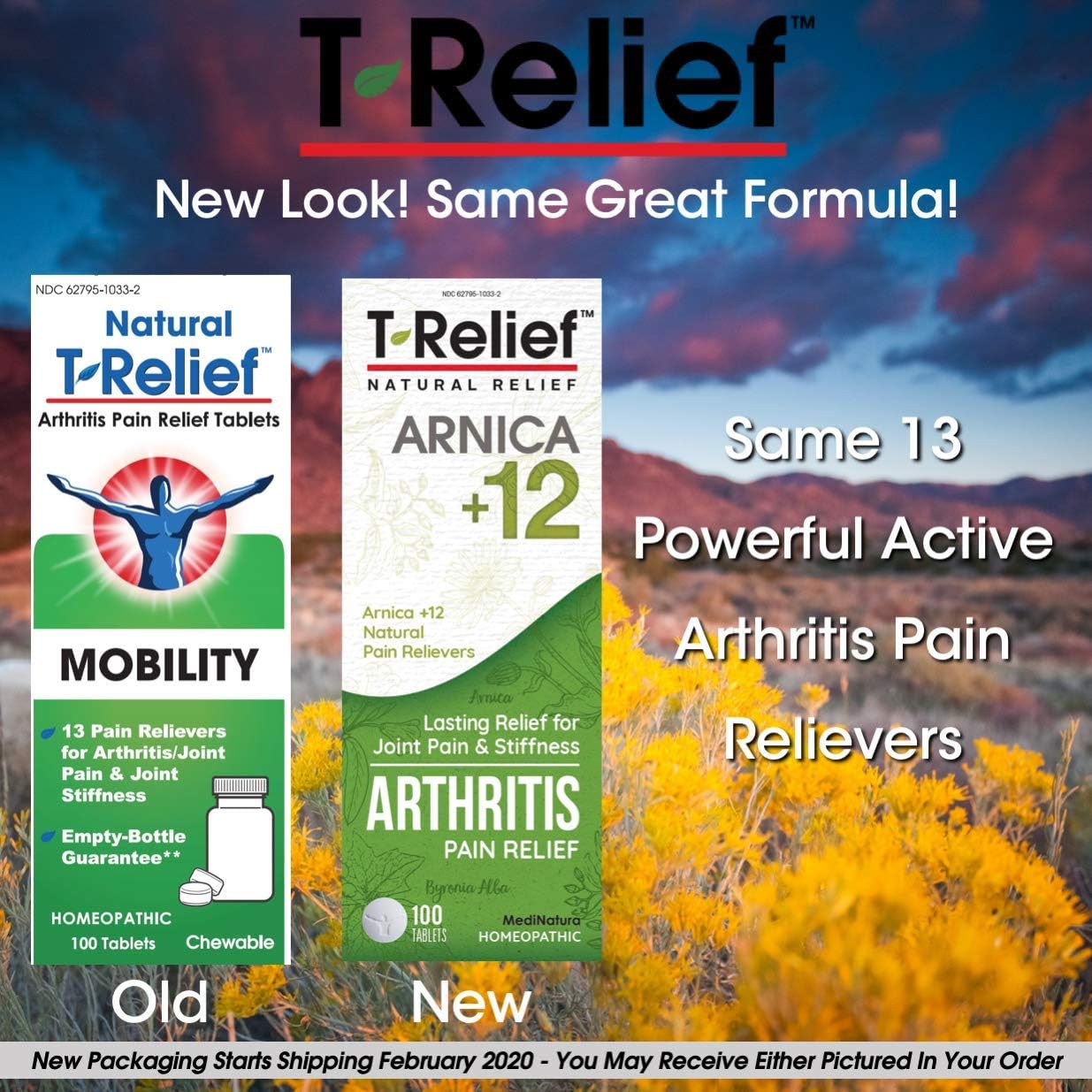 MediNatura T-Relief Arthritis Pain Relief with Arnica + 12 Active Pain Relievers- 100 Tablets: Health & Personal Care