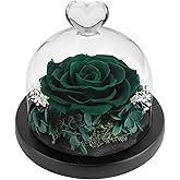 DuHouse Forever Roses Preserved Real Flowers Eternal Enchanted Rose Flower Box for Valentines Gifts Birthday Anniversary Christmas (Dark Green)