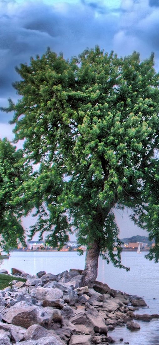 PeelitStickit, Beautiful Nature Wall Murals, ID-1440, vinyl