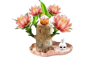 Brazilian Luck Wood Kit with Monk, Grow Your Own Luck,Easy to Maintain Mini Brazil Plants for Indoor/Outdoor, Bedroom, Kitche