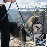 PoyPet No Pull Dog Harness Reflective Vest with 2 Leash Attachments (S) Light view 4