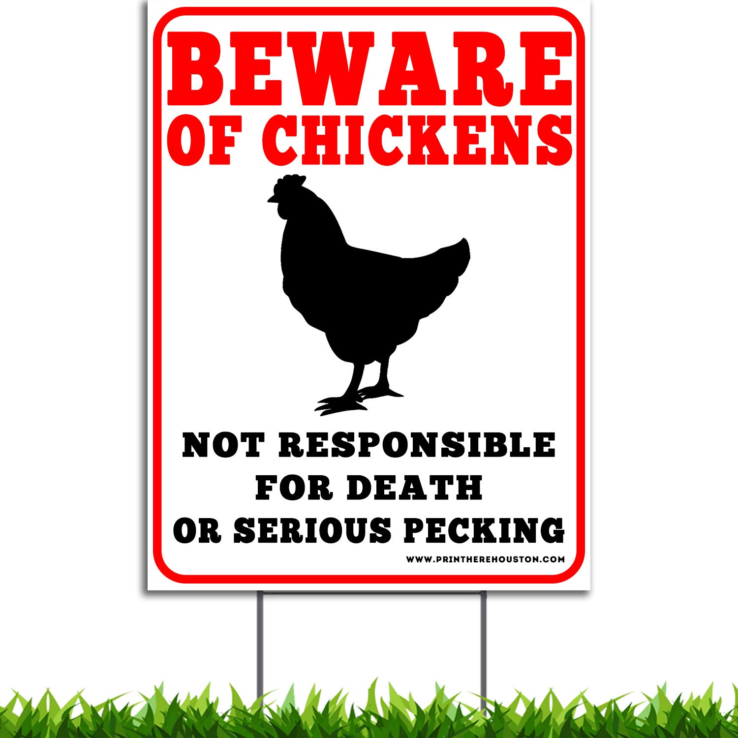 Chicken Runs Down The Lane